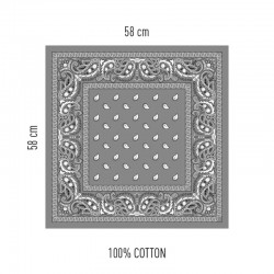 Popper Hanky Code Gris 24ml + Bandana